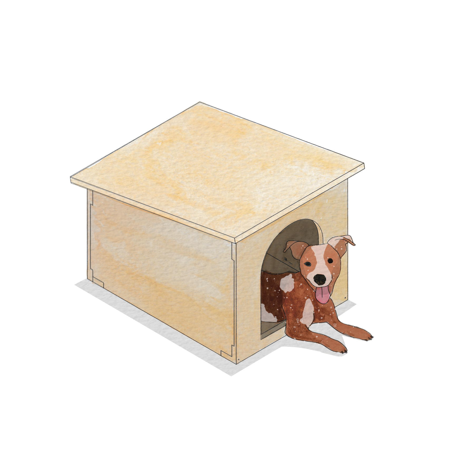 Plywood dog box hotsell