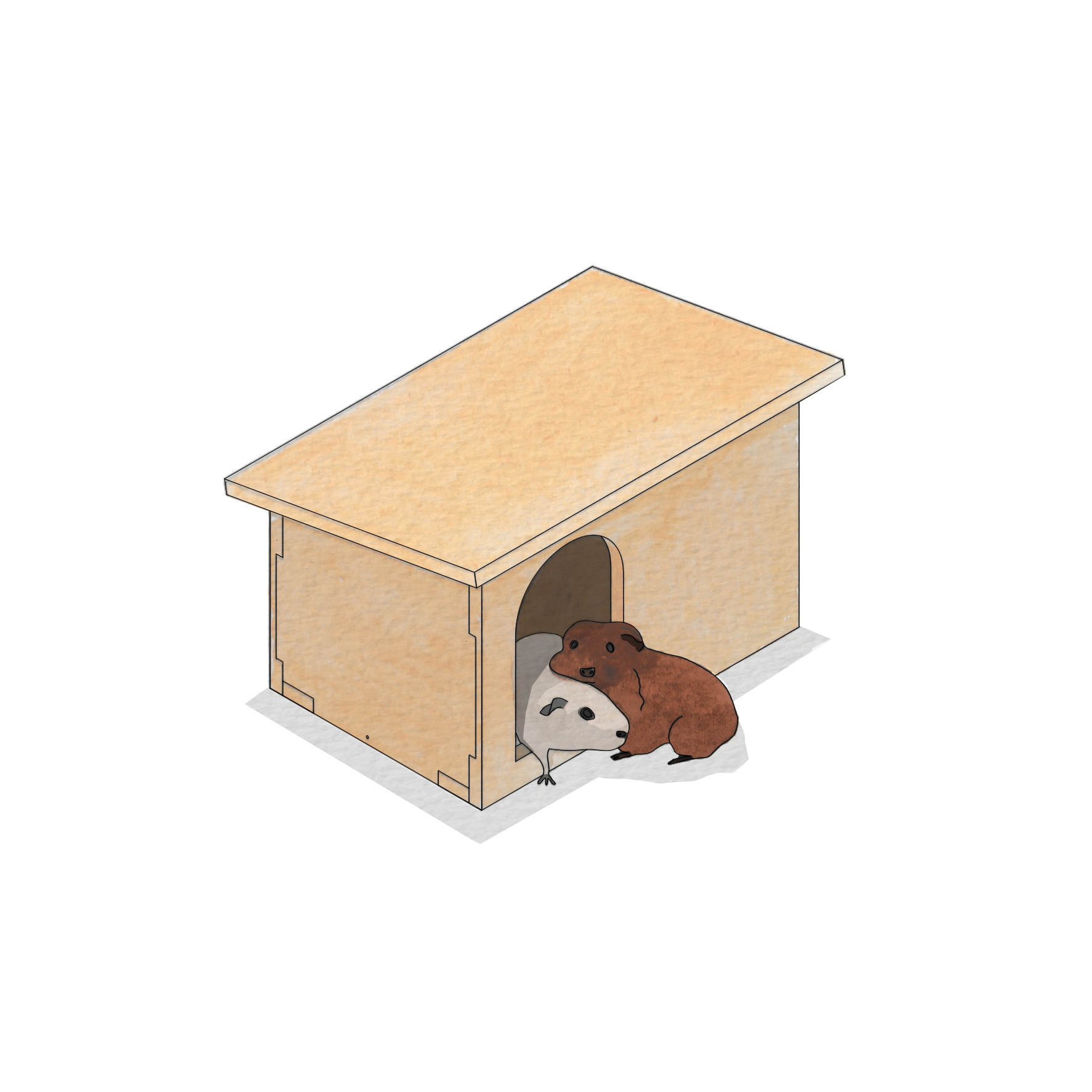 Guinea pig hot sale cardboard house