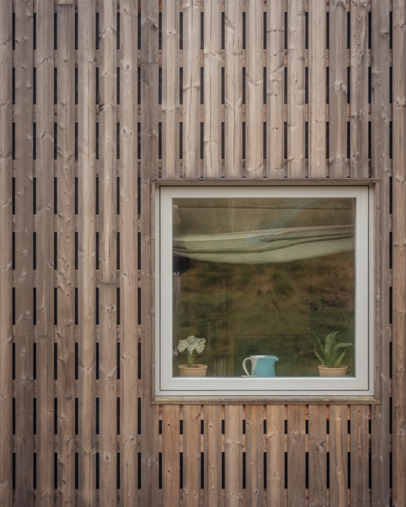 A small cactus, a blue jug, and a succulent sit on a windowsill built into a timber cladding wall.