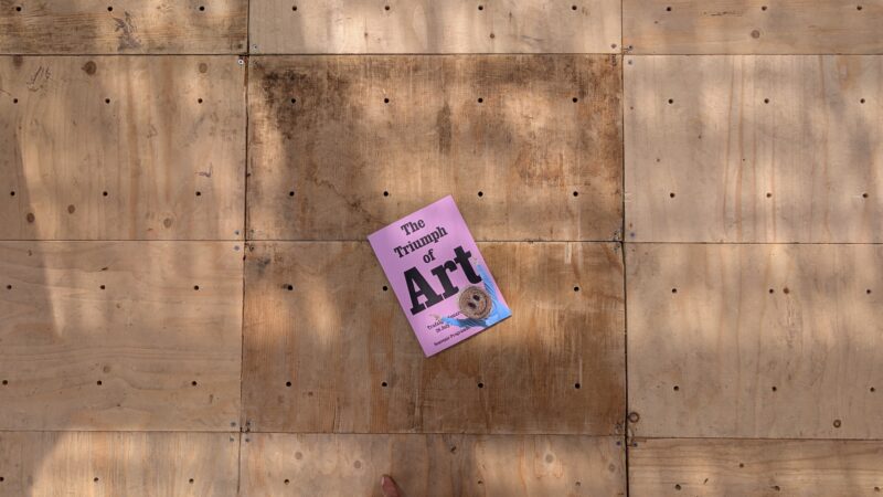 A pink book titled The Triumph of Art lies on a large wooden surface made of square panels with holes, reminiscent of installations at the National Gallery. Shadows of leaves are visible across the boards, and part of a person’s finger shows at the bottom.