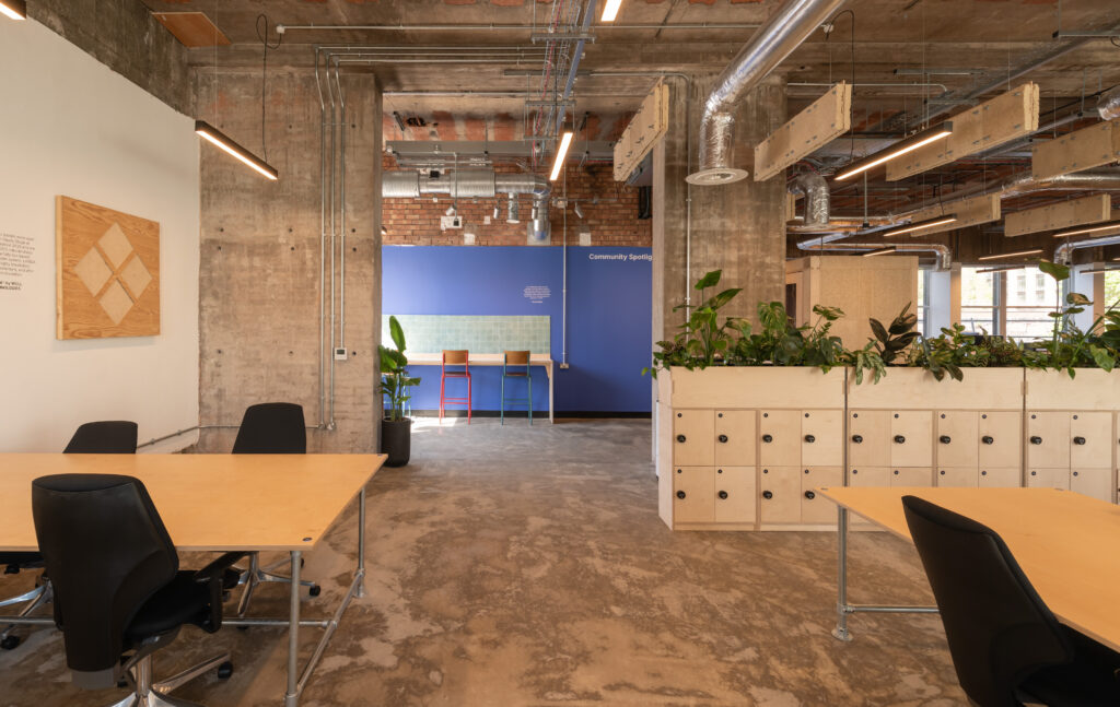 Modern open-plan office in Manchester with exposed concrete and ductwork, wooden desks, black chairs, and potted plants—showcasing Sustainable Ventures. A blue feature wall with bar stools adds flair to this well-lit workspace.
