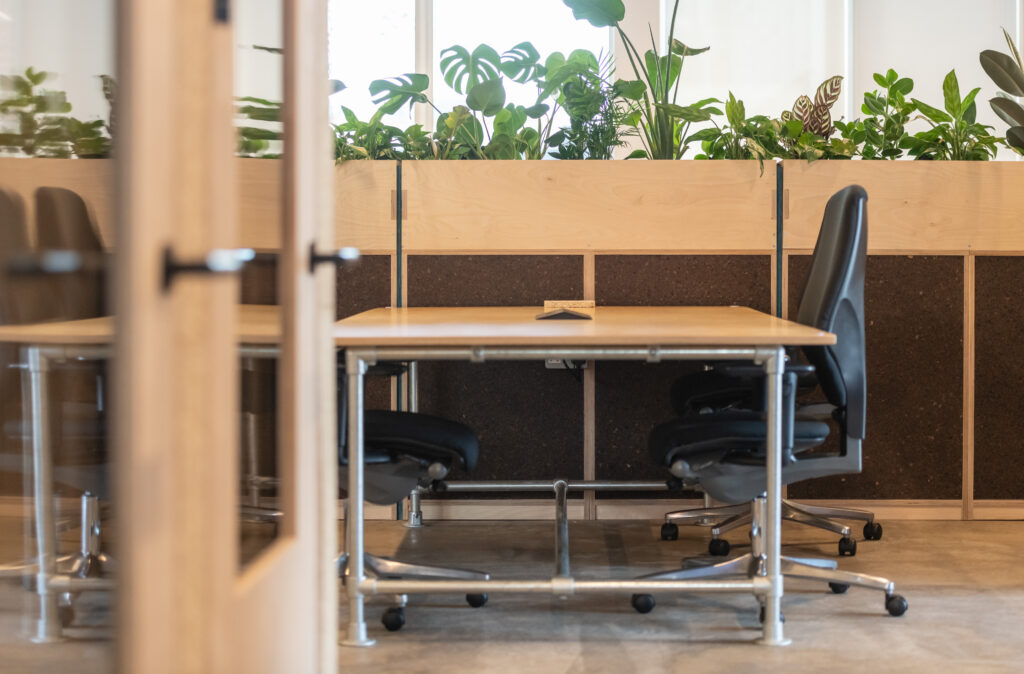 A modern office space in Manchester with two empty black chairs at a wooden table, indoor plants on a partition behind the table, and a glass door partially open—ideal for sustainable business or Sustainable Ventures meetings.