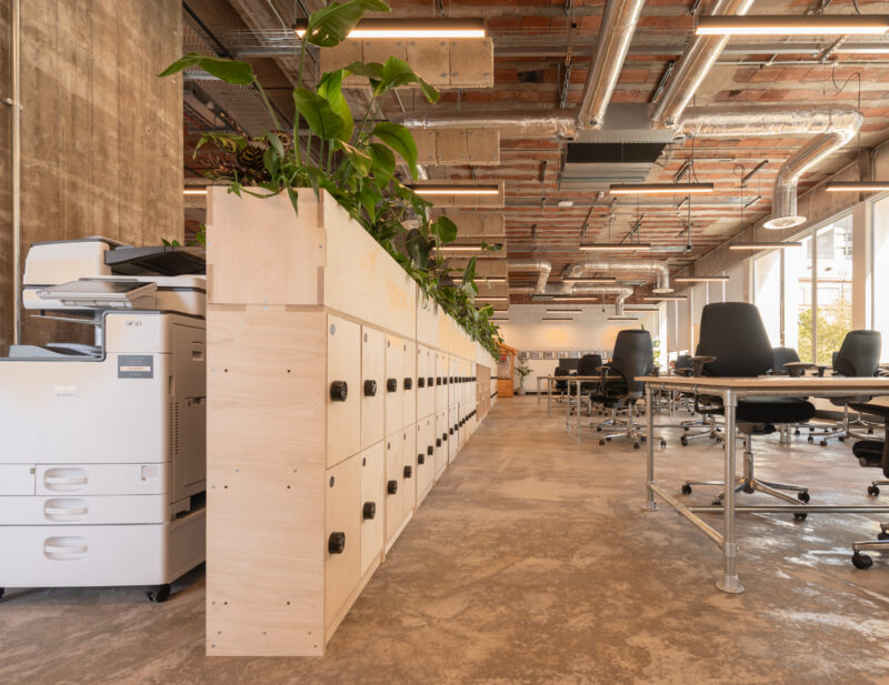 Modern open-plan office in Manchester with exposed ceiling, lockers lined with potted plants, office chairs, desks, and a printer on a concrete floor. Large windows fill Sustainable Ventures’ workspace with natural light.