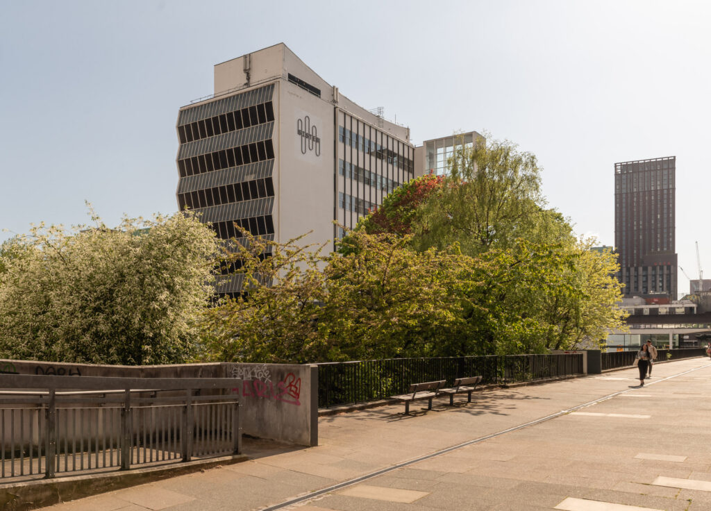 A pedestrian walks along a wide, sunny path lined with green trees and bushes in Manchester. Modern buildings, including one with a geometric logo of Sustainable Ventures, rise in the background under a clear sky.