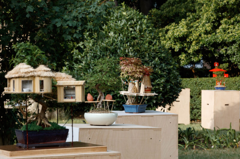 Miniature houses with thatched roofs and bonsai trees are displayed on wooden platforms outdoors, surrounded by lush greenery and other plant arrangements in the background, creating a captivating scene reminiscent of a Bonsai Exhibition.