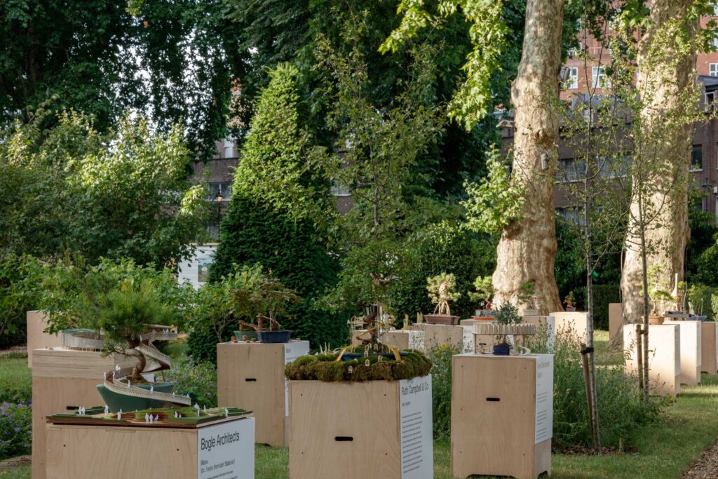 Wooden boxes with miniature trees and plants, including beautifully crafted Bonsai trees, sit scattered in a green park with tall trees and shrubs in the background, and buildings partly visible behind the foliage.
