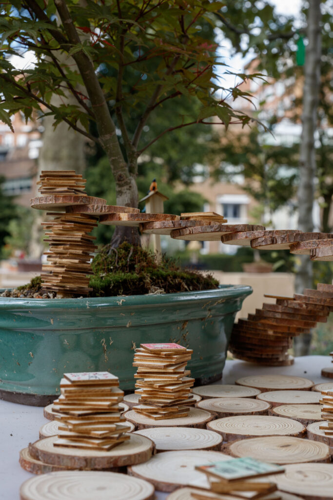Stacked wooden discs create bridges and towers around a bonsai tree in a green pot, evoking the artistic spirit of a Bonsai Exhibition. More discs are scattered on the table, with blurred greenery forming the background.