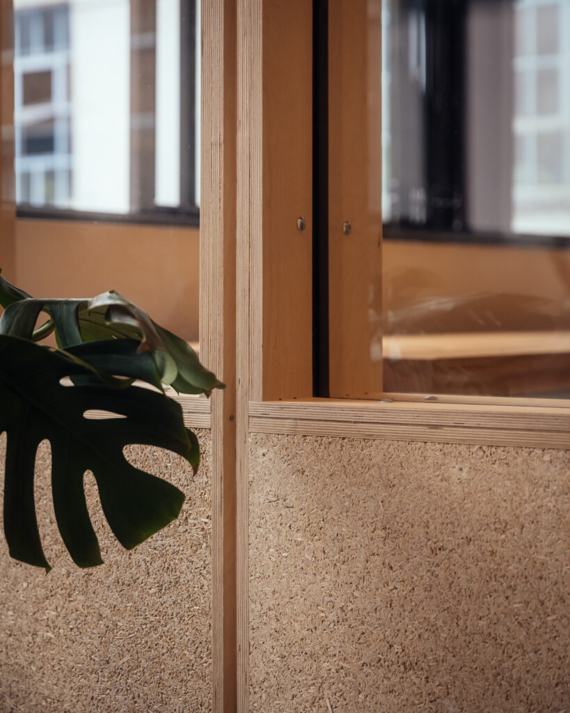 Indoor scene with a close-up of a leafy green plant next to a wooden and cork partition at Vyner Studios, with windows and blurred buildings visible in the background.