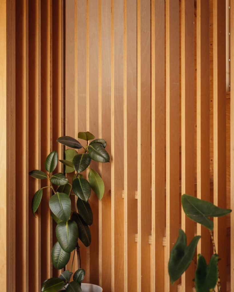 A potted rubber plant placed against a wall of vertical wooden slats in a home refurbishment.