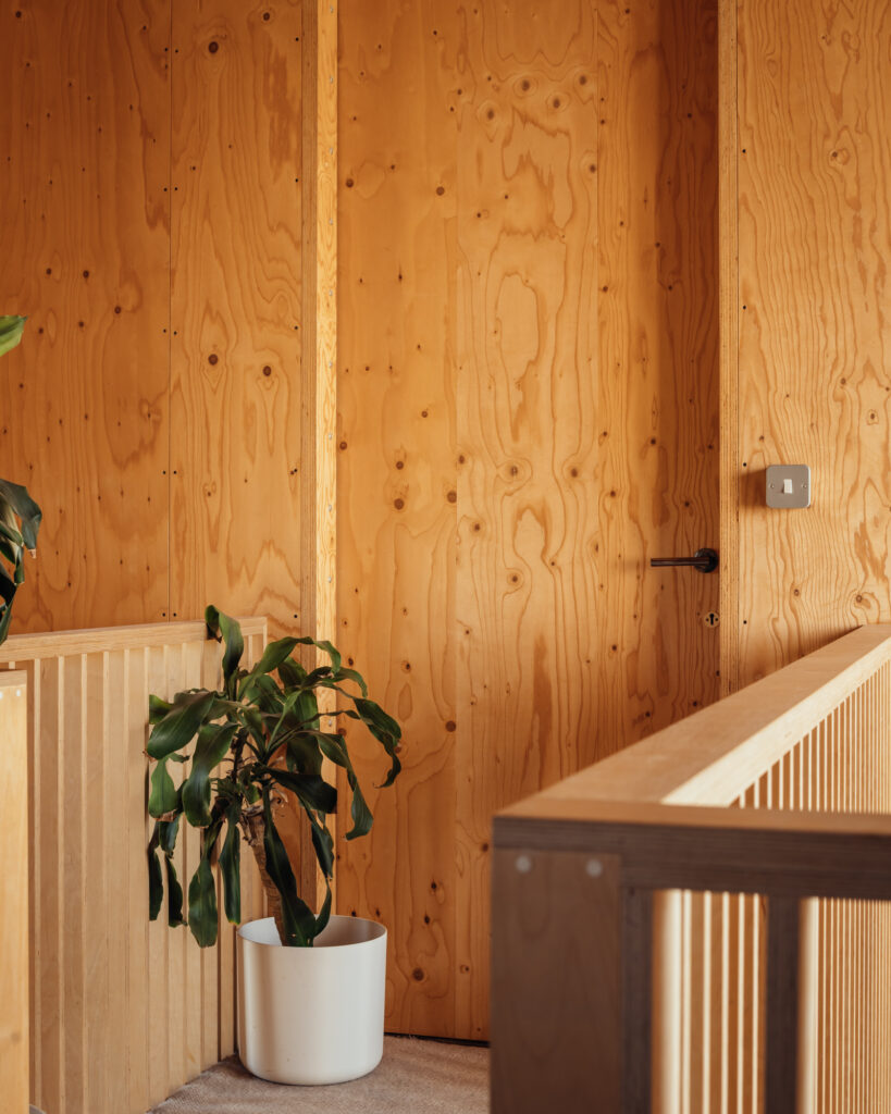 A potted houseplant sits on a landing next to a door set into the plywood-panelled wall of a home extension.