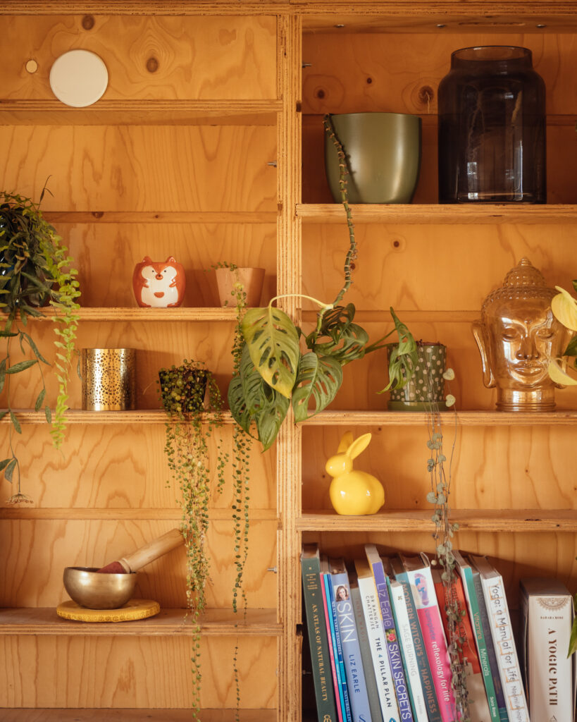 Plywood shelving units in a home extension display potted plants, a small fox figurine, a brass singing bowl, a yellow ceramic rabbit, and a collection of books.